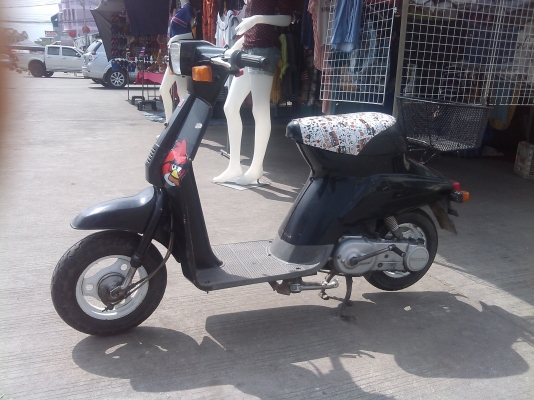 ป๊อบน้อย