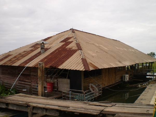 ขายแพพร้อมใช้