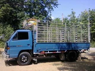 ต้องการขาย ISUZU NPR 115 HP ปี 35 สภาพสวยมาก