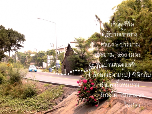 ขายที่ดิน คลอง6 จำนวน 36 ไร่ ติดถนน ติดโลตัสคลอง6  ไร่ละ2 ล้านครับ