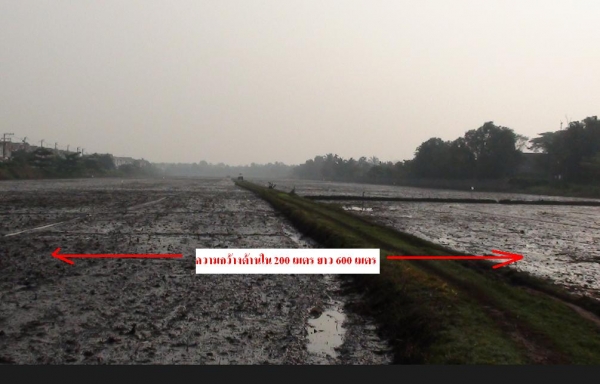 ขายที่ดิน คลอง6 จำนวน 36 ไร่ ติดถนน ติดโลตัสคลอง6  ไร่ละ2 ล้านครับ