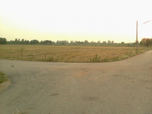 ขายที่ 10 ไร่ ถูกถูก