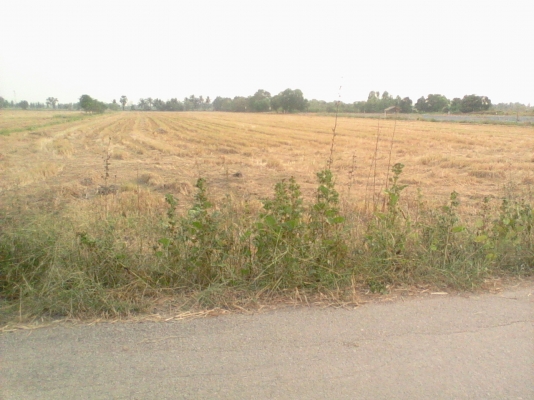 ขายที่ 10 ไร่ ถูกถูก