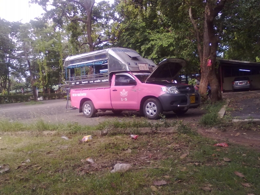 ขายดาวน์!!! รถเมล์ชมพูโดยสาร