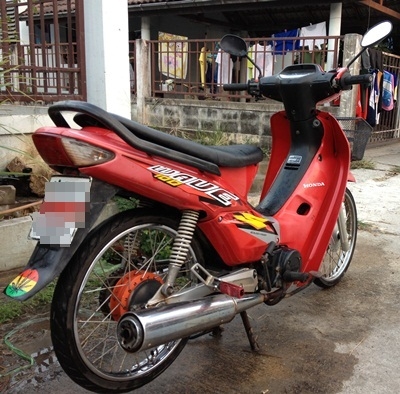 ขายเวบ 100