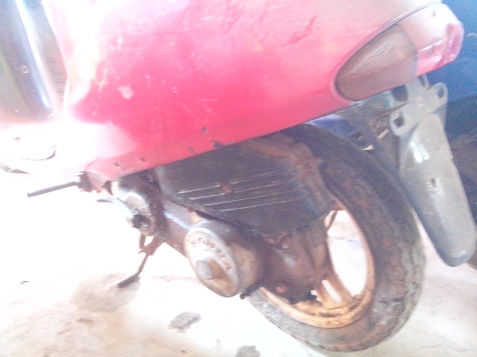 -ขายรถป๊อบหลยรุ่น คันละ 3500 ทุกคัน