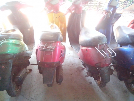 -ขายรถป๊อบหลยรุ่น คันละ 3500 ทุกคัน