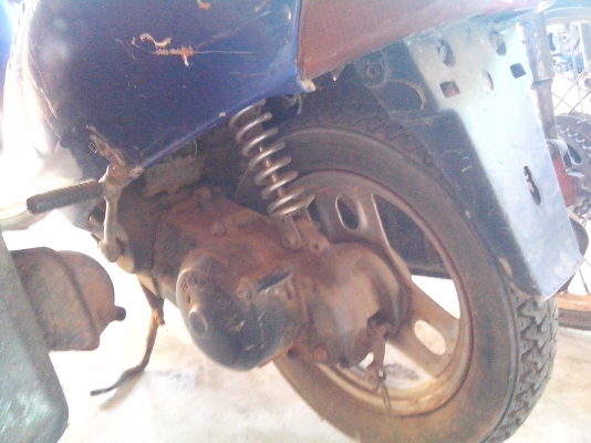 -ขายรถป๊อบหลยรุ่น คันละ 3500 ทุกคัน