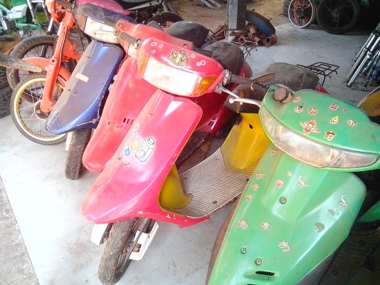 -ขายรถป๊อบหลยรุ่น คันละ 3500 ทุกคัน