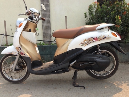 ขายfino สีน้ำตาล ขาวปี2554