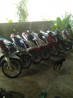 ต เจริญ มอเตอร์ ซื้อขาย แลกเปลี่ยน มอเตอร์ไซค์ ทุกรุ้น และขายอะไหล่ทุกรุ้นครับ