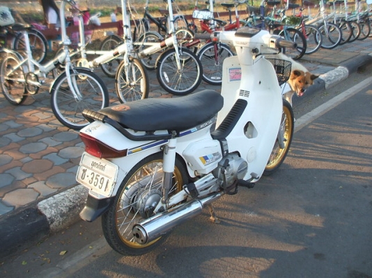 ดรีมคุรุสภา