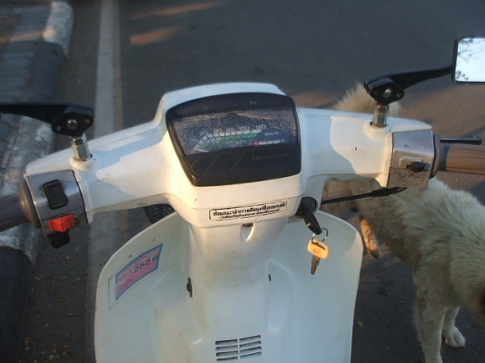 ดรีมคุรุสภา