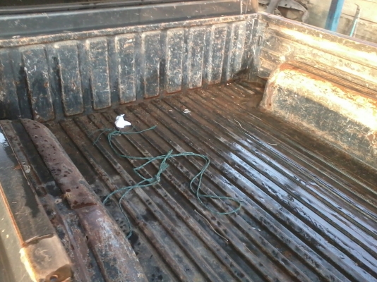 ขายด่วนอีซุซุปี92ไม่เวอร์ไม่เคยทำสี 133000 ขายด่วนอีซุซุปี92ไม่เวอร์ไม่เคยทำสี 133000