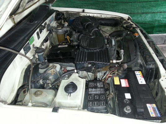 ไหเกอร์ 5 ประตูแวน ไหเกอร์ 5 ประตูแวน