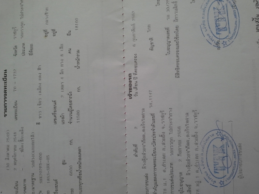 ขายลูกพ่วงสหกิจปี 2548