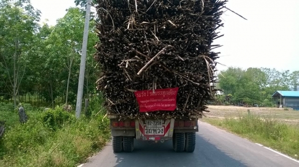 ขายรถพ่วง แม่ดั้ม - ลูกไม่ดั้ม HINO FM3M จดทะเบียนปี 43 เครื่องเดิม M10C 240 แรงม้า เกียร์เดิม สโลว์เดิม คัสซีสวยจัดตลอดเส้น ยางเต็มทั้ง 18 เส้น ทะเบียนพร้อมโอนครับ ขายรถพ่วง แม่ดั้ม - ลูกไม่ดั้ม HINO FM3M จดทะเบียนปี 43 เครื่องเดิม M10C 240 แรงม้า เกียร์เดิม สโลว์เดิม คัสซีสวยจัดตลอดเส้น ยางเต็มทั้ง 18 เส้น ทะเบียนพร้อมโอนครับ
