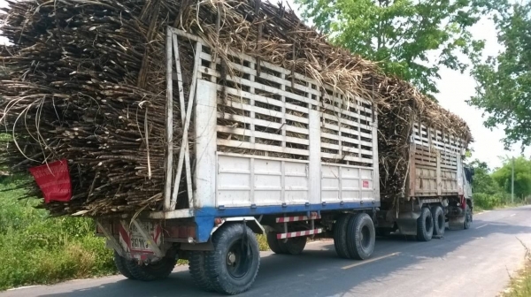 ขายรถพ่วง แม่ดั้ม - ลูกไม่ดั้ม HINO FM3M จดทะเบียนปี 43 เครื่องเดิม M10C 240 แรงม้า เกียร์เดิม สโลว์เดิม คัสซีสวยจัดตลอดเส้น ยางเต็มทั้ง 18 เส้น ทะเบียนพร้อมโอนครับ ขายรถพ่วง แม่ดั้ม - ลูกไม่ดั้ม HINO FM3M จดทะเบียนปี 43 เครื่องเดิม M10C 240 แรงม้า เกียร์เดิม สโลว์เดิม คัสซีสวยจัดตลอดเส้น ยางเต็มทั้ง 18 เส้น ทะเบียนพร้อมโอนครับ