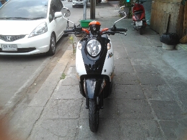 ฟีโน่ปี2553 ฟีโน่ปี2553