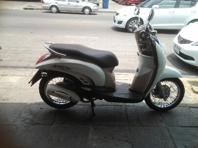 สกุบปี้iปี2553