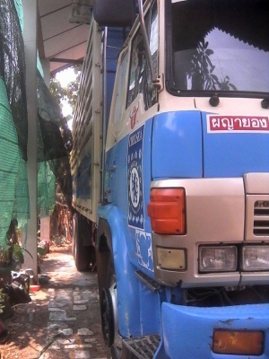 ขายตัวแรง