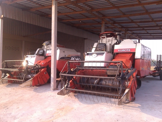 ขายรถเกี่ยวข้าวDC  60. ปี53. ทำงาน1750ช.ม. ปี54. 1554 ช.ม2. คันพร้อมตัวลาก. เครื่องดีมากๆครับช่างล่างดีพร้อมทำงานได้เลยครับ เล่มทะเบียนพร้อมโอนครับ..ไม่แพงอย่างทีคิดครับ..เฒ่าแก่กำลังมองหารถเกี่ยวรุ่นนี้อยู่โทรมาติดต่ราคาได้เลยครับ..รับรองไม่ผิดครับ..3คัน