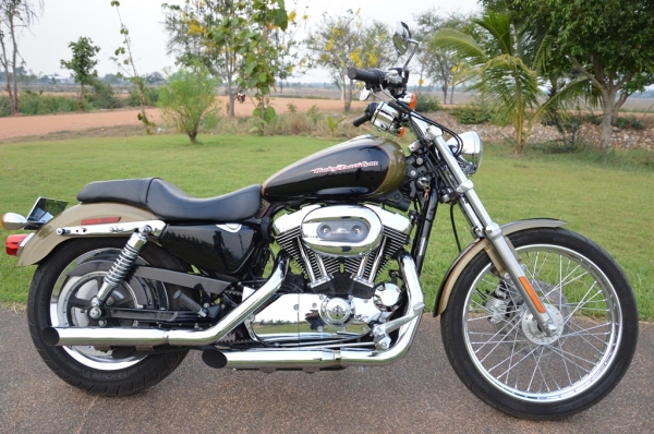 ขายครับ Harley Davidson XL 1200 C Sportster 50th Anniversary