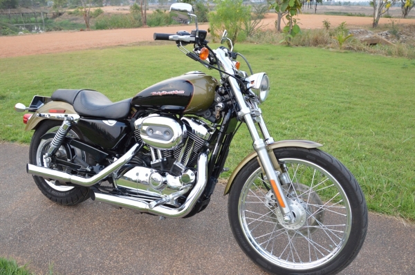 ขายครับ Harley Davidson XL 1200 C Sportster 50th Anniversary