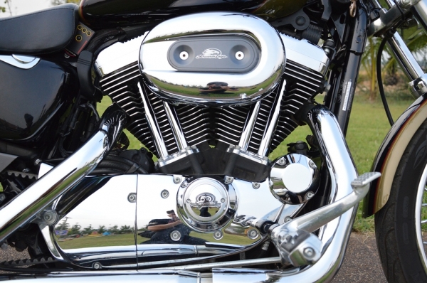 ขายครับ Harley Davidson XL 1200 C Sportster 50th Anniversary