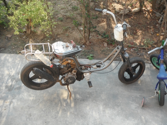 Zusuki ยูดี้ ป๊อบ auto