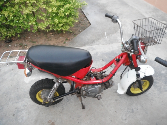 ชิปปี้ เดิมๆ