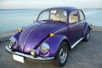 ขายโฟล์คเต่า