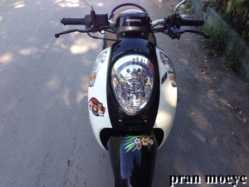 scoopy-iสีขาวดำ ปี2557