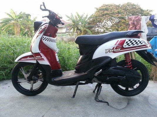 ขายอิลิแกีน สวยๆ