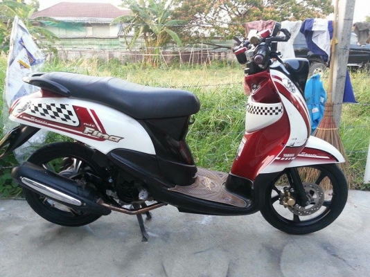 ขายอิลิแกีน สวยๆ