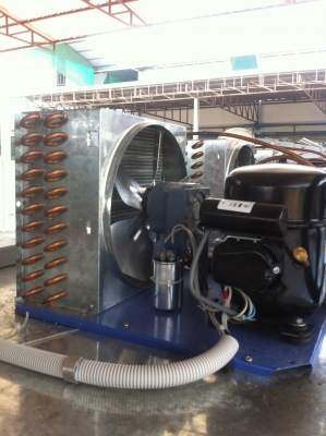 ห้องเย็น ตั้งพื้น ติดรถ (ต้องการสเปคใหนทำตามสั่งใหม่เก่าสั่งได้)