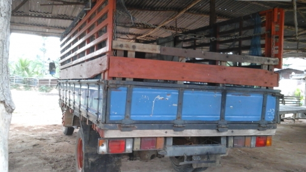 ขาย6ล้อ isuzu100แรงฝาขาวสภาพพร้อมบบรรทุก