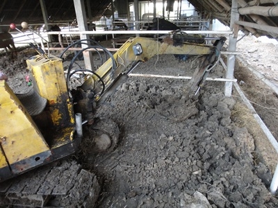 ขายรถขุดคูโบต้า ขนาดจิ๋ว ขายรถขุดคูโบต้า ขนาดจิ๋ว