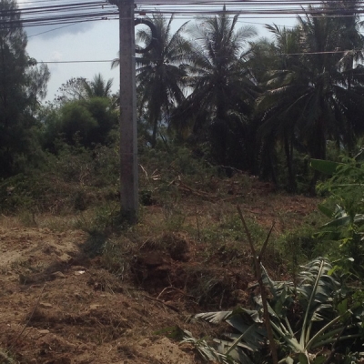 ขายที่ดินว่างเปล่า 5 ห้อง กว้าง 20 เมตร. ยาว 40 เมตร