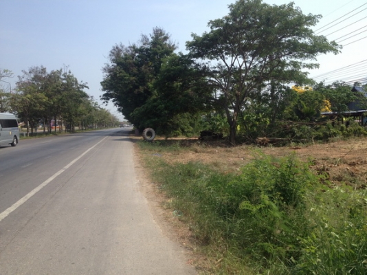 ขายที่ดินว่างเปล่า 5 ห้อง กว้าง 20 เมตร. ยาว 40 เมตร