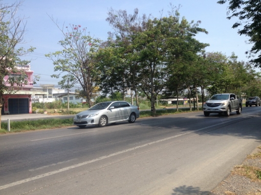 ขายที่ดินว่างเปล่า 5 ห้อง กว้าง 20 เมตร. ยาว 40 เมตร