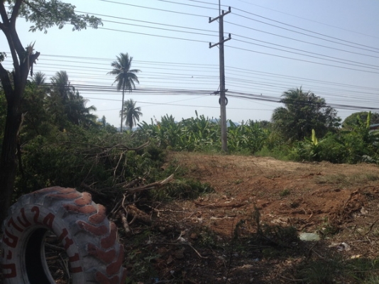 ขายที่ดินว่างเปล่า 5 ห้อง กว้าง 20 เมตร. ยาว 40 เมตร
