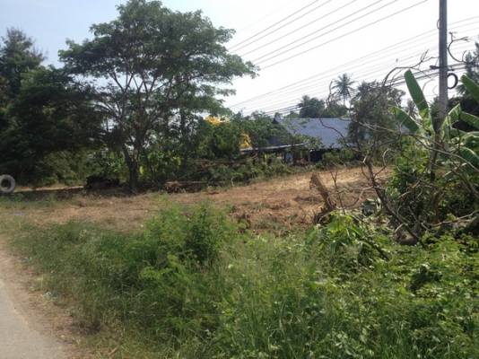 ขายที่ดินว่างเปล่า 5 ห้อง กว้าง 20 เมตร. ยาว 40 เมตร