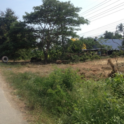 ขายที่ดินว่างเปล่า 5 ห้อง กว้าง 20 เมตร. ยาว 40 เมตร