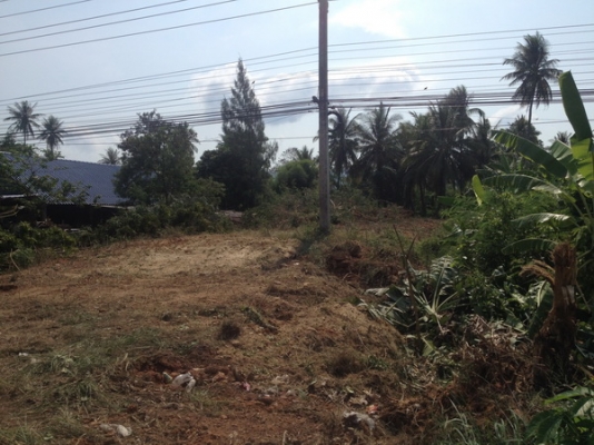 ขายที่ดินว่างเปล่า 5 ห้อง กว้าง 20 เมตร. ยาว 40 เมตร