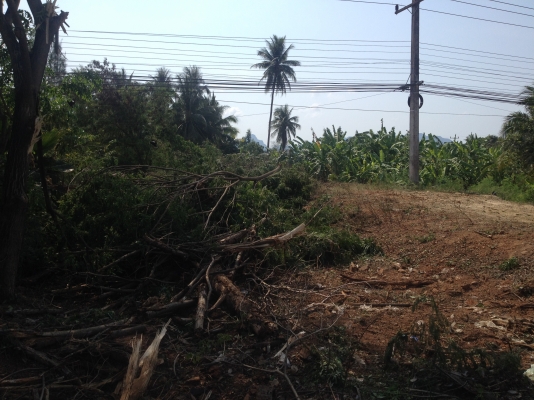 ขายที่ดินว่างเปล่า 5 ห้อง กว้าง 20 เมตร. ยาว 40 เมตร