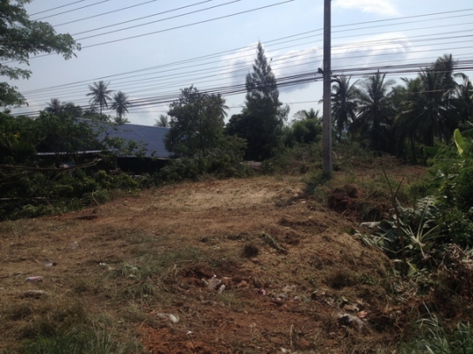 ขายที่ดินว่างเปล่า 5 ห้อง กว้าง 20 เมตร. ยาว 40 เมตร