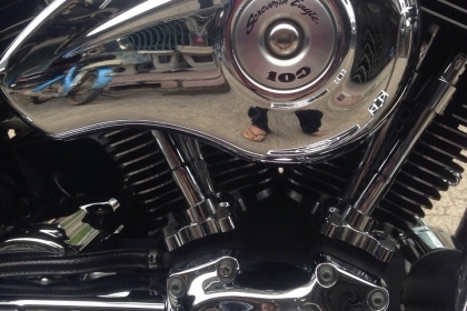 ธารนนทบุรี//ขาย harley-davidson Road King Standard 100 ปี ปี2003 สภาพนางฟ้า ราคา 570,000 บาท อินวอยท์+สรรพสารมิตรแท้