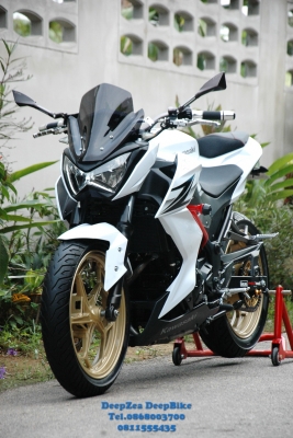 ขาย Kawasaki Z250 ปี 2013 พร้อมของแต่ง Bookservice เอกสารพร้อมโอน