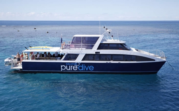 ขายเรืออลูมิเนียม Pure Dive 2008